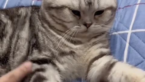 So cute.😻