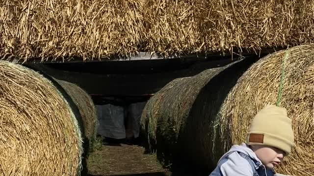 Halloween Maze Has a Bumpy Exit