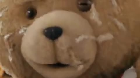 Sexy taddy