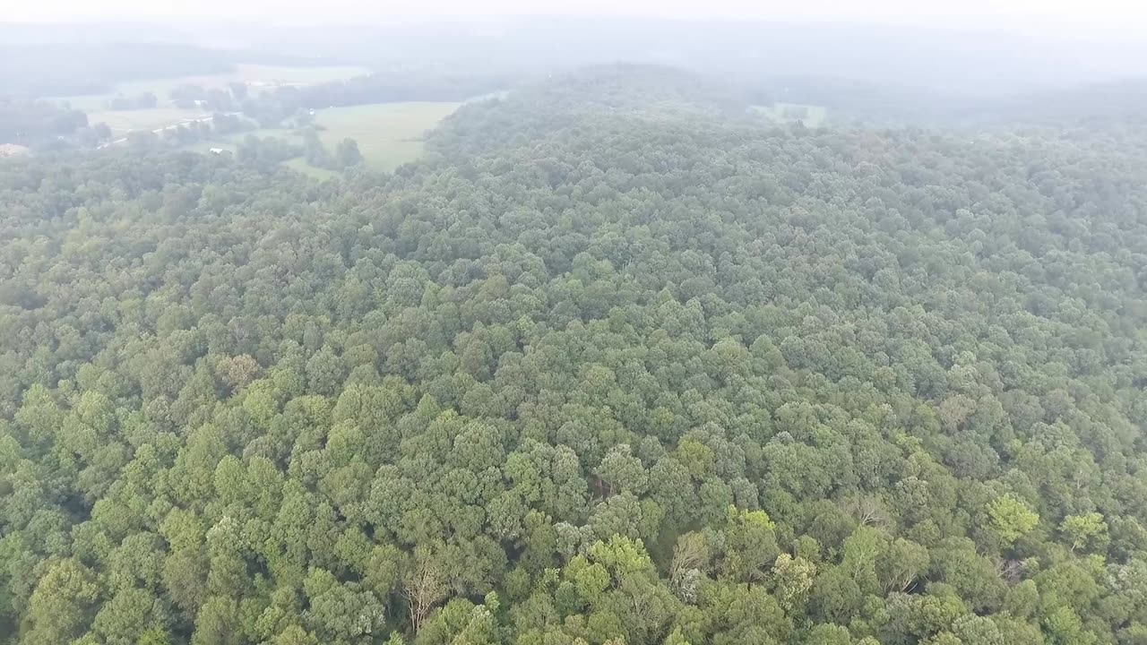 Land for sale in Kentucky. 214 acres very private