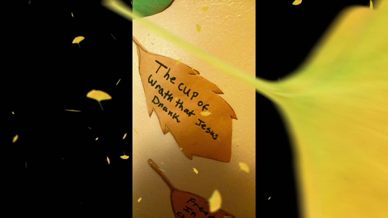 Happy Thanksgving short