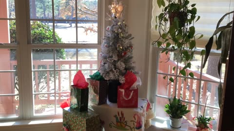 Merry Christmas and happy New Year