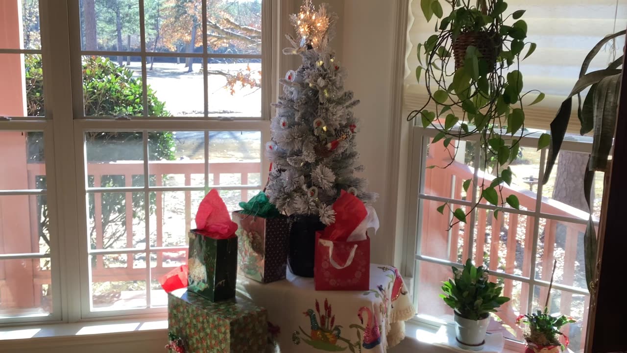 Merry Christmas and happy New Year