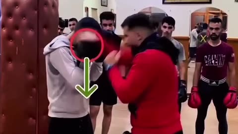 Ultimate boxing