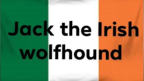 .31 candles by (Jack the Irish wolfhound)