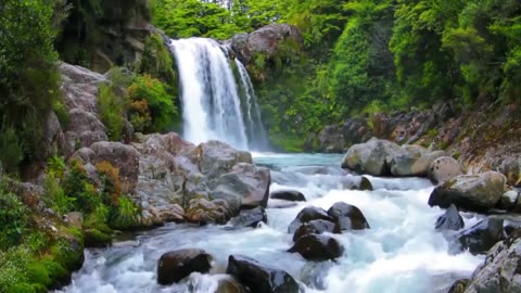 Beautiful landscape waterfall with birdsong for meditation and calm