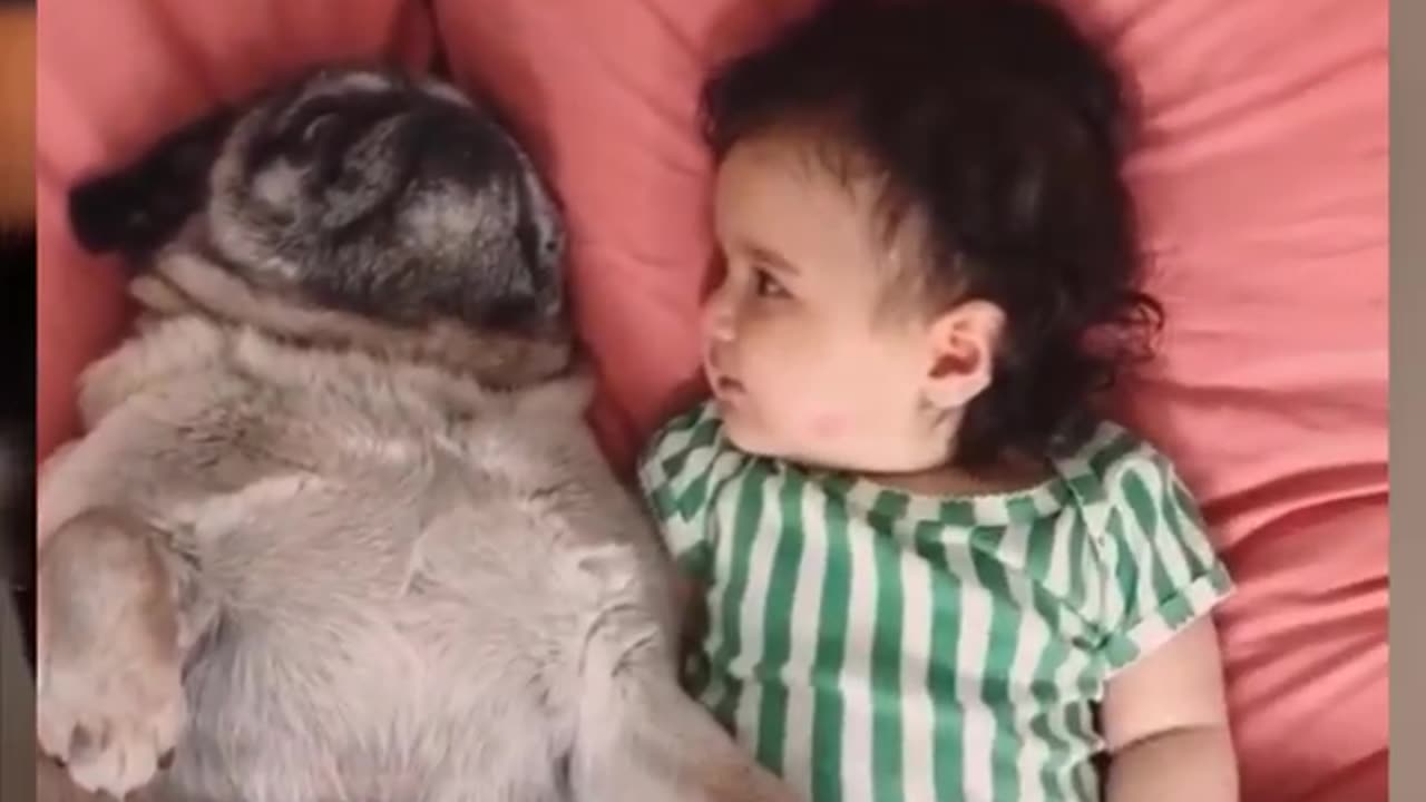 Cutest Babies Play With Dogs And Cats Compilation || Cool Peachy
