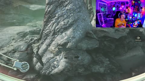 Come hang out!