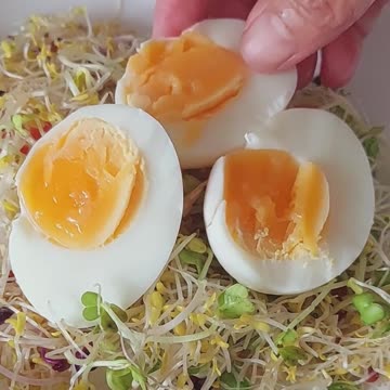 Eggplant Salad. Easy Homemade Eggplant Salad Recipe 🥗 🍆 #Salad #eggplant #food #cooking #homemade