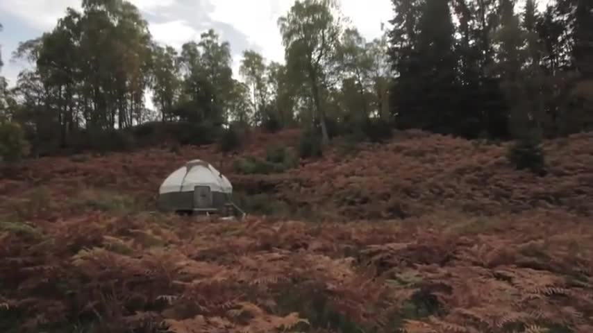 Stay Wild - Cabins, Rural Getaways, and Sublime Solitude