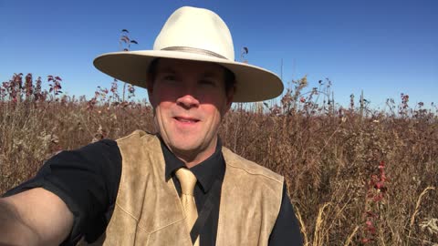 Government Science is not the Same as Real Science