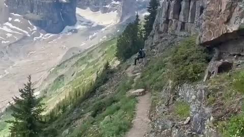 Path through a postcard 📍 Banff National Park
