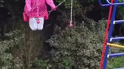 Swing puppy