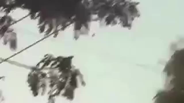 WHAT THE SHIT IS THAT THAT APPEARS AND NOBODY KNOWS WATCH THE VIDEO AND SHARE