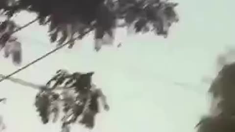 WHAT THE SHIT IS THAT THAT APPEARS AND NOBODY KNOWS WATCH THE VIDEO AND SHARE