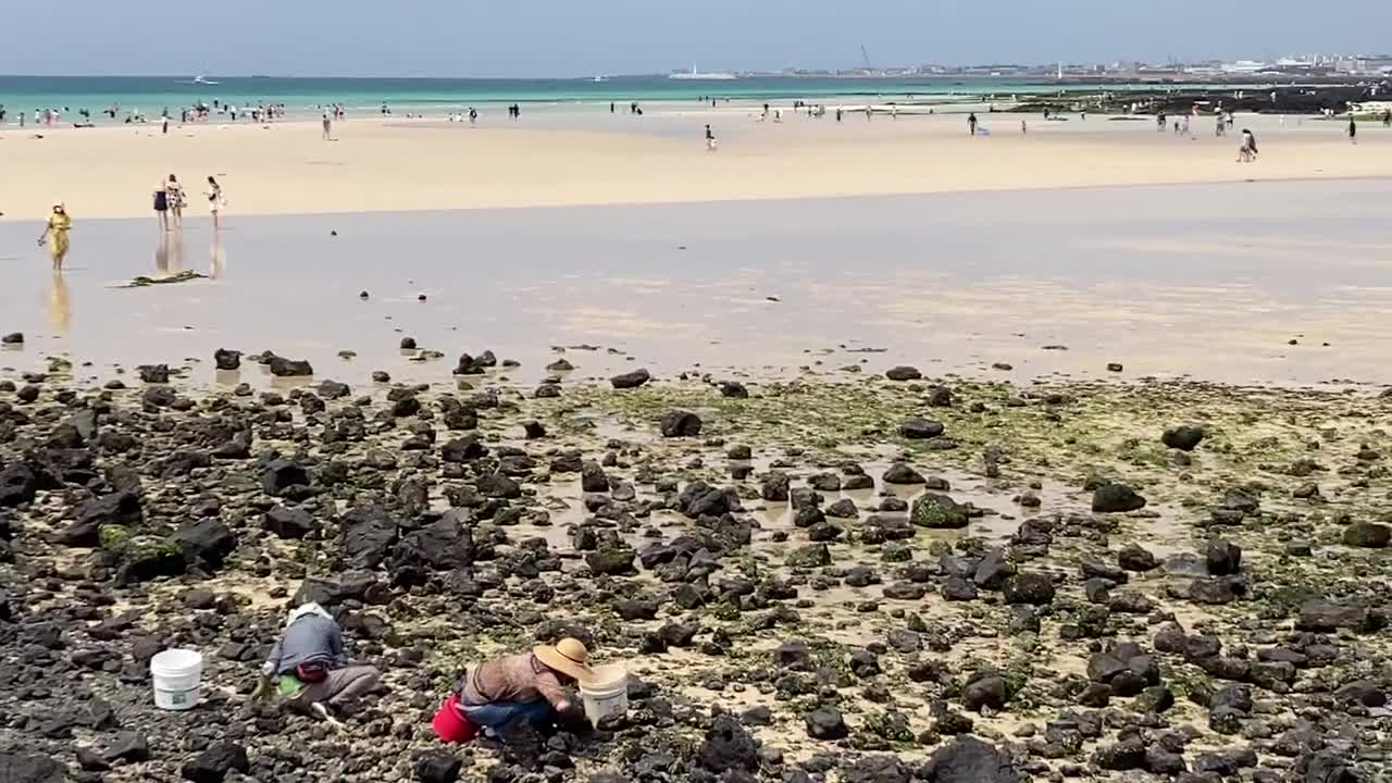 20 Second Korea: Hyeopjae Beach Panorama