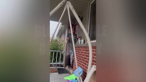 FOIA Video - DM Crazy Woman Assaults Father and Kid Part 5