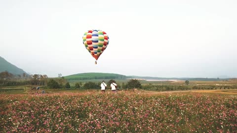 Heal The World - Music Travel Love