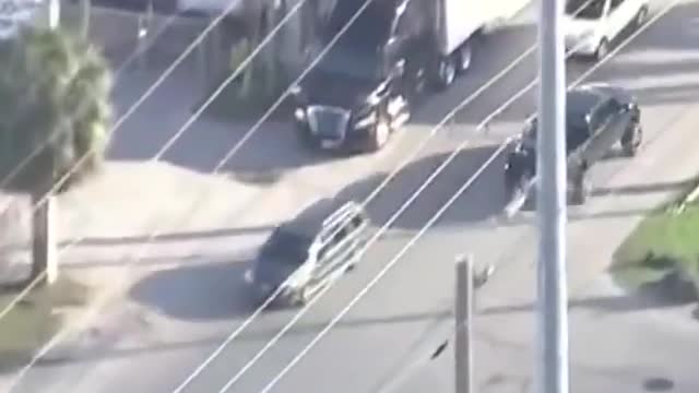 Best funny mixed video.