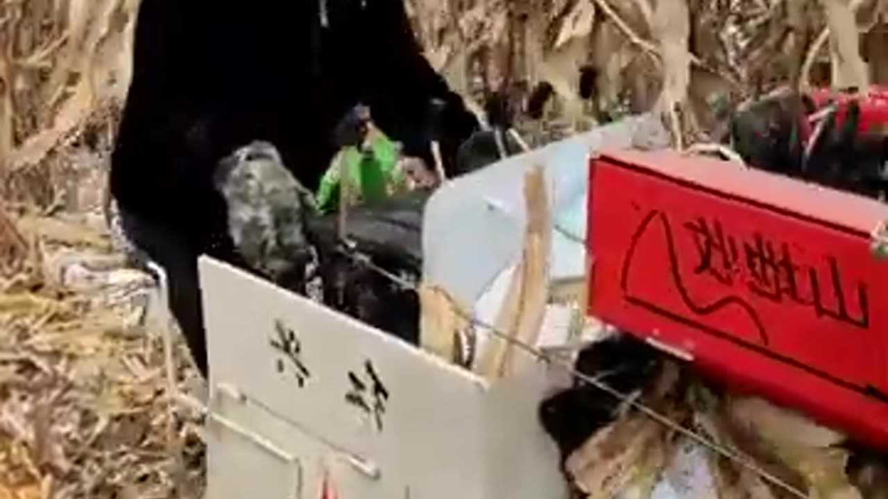 explosion models Agricultural Technician Corn