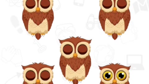 Find the odd owl 🦉‼️