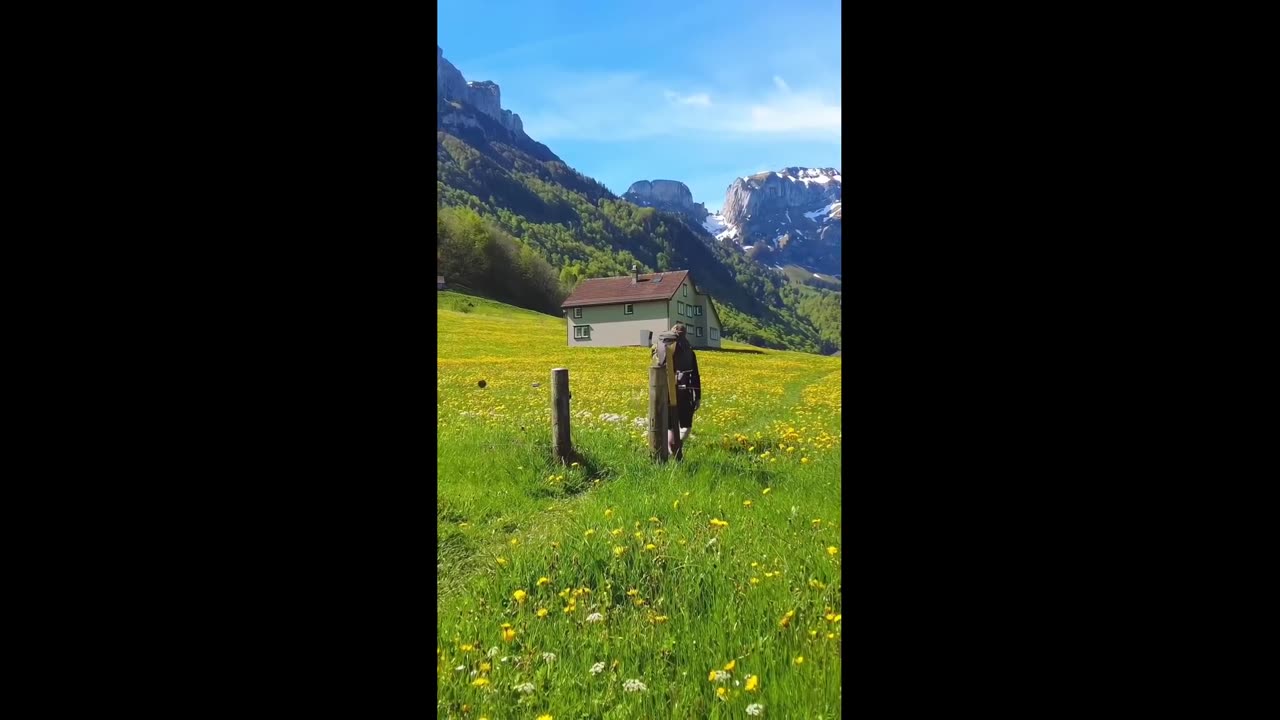 I asked castle peak when old castle peak asked me when leisure