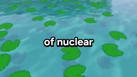 Fusion vs. Fission