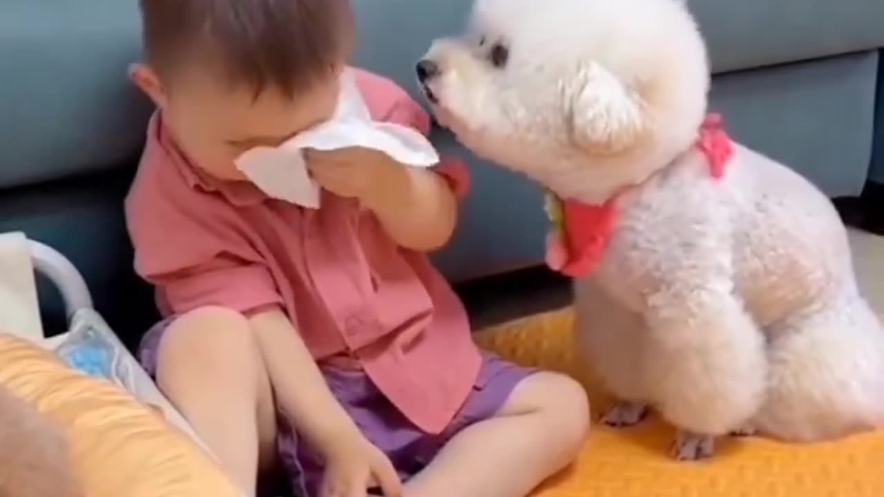 Only a true friend understands the depth of empathy #shorts #shortvideo #video #virals #videoviral