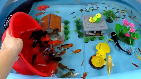 Cute Animals, Giant Whale, Crocodile, Flapping Duck, Black Shark, Turtle, Seahorse, Snake, Goldfish