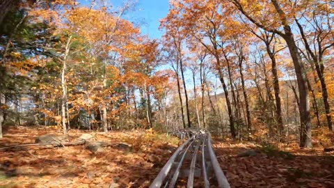 Mountain Coaster