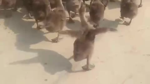You are the coolest boy!