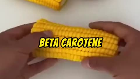 Fun Facts you have to know