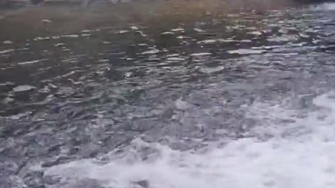 Cachoeira do Carrossel 💦 Boas vibrações