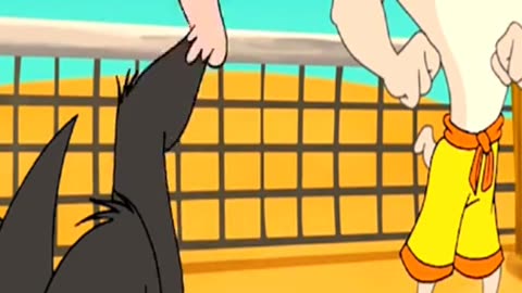 tomandjerry