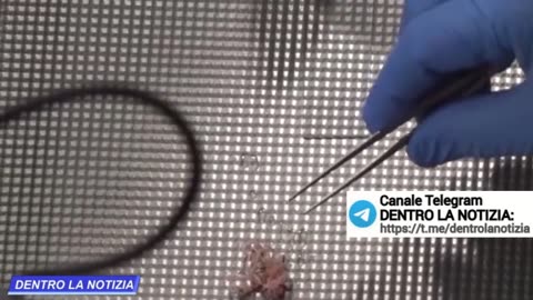 I criminali stanno facendo sparire i documenti di vaccinazione covid 19