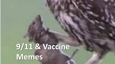 What its like fighting Facebook Fact Checkers