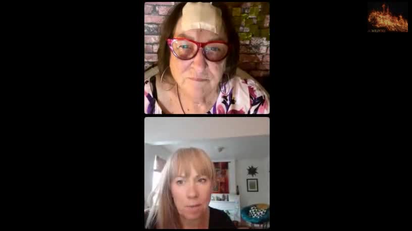 Canada va/x passport, legally dismantled. MUST WATCH!