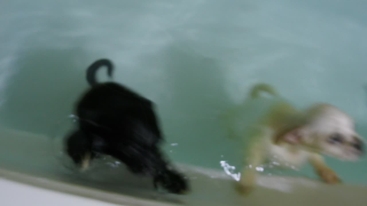 P9290097