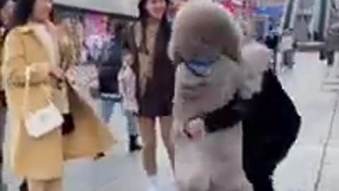 Cute and funny dog videos compilation 2023#shorts#rumble#trending video