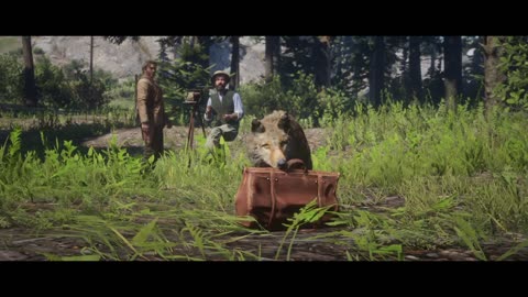 RDR2 walkthrough arcadia for amateurs mission