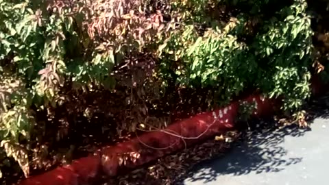 Tuesday Topic of the Week March 28: Visit to Tent City 4 in Sammammish