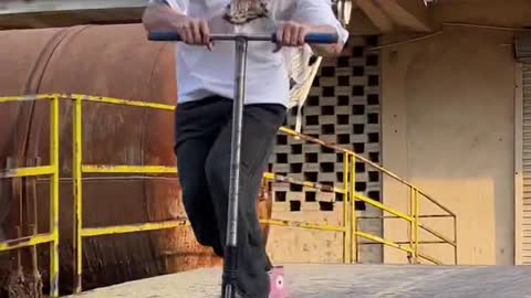 This is the simplest happiness of the scooter