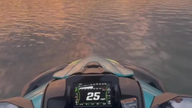 You've gotta live life a little bit