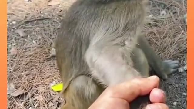 ममी वहाँ तो हाथ किसने पकड़ा मेरा यू कौंन है