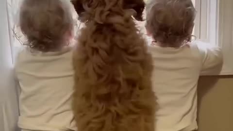 Two kids and a dog waiting for his brother