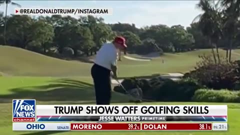 Trump might just meme his way back into office