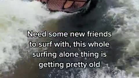 Need some new friends to surf with, this whole