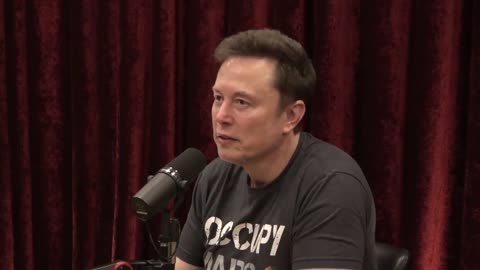 "Go out there and vote... for Peanut," Musk said.