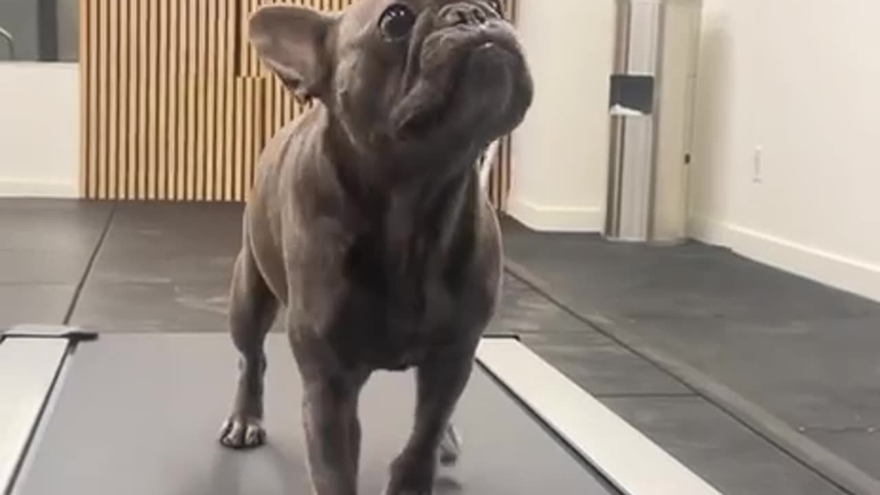 We all need some sort of motivation