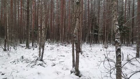 Inexplicable phenomena filmed on camera in Russia and the world